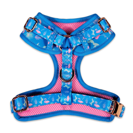 Flamingo Fiesta Harness
