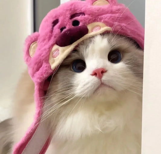 Cat Cute Cartoon Decorative Funny Cat Headwear Cat Dog Hat Headgear Pet Cute Funny Artifact Warm Plush Pet Hat Pet Photo Props