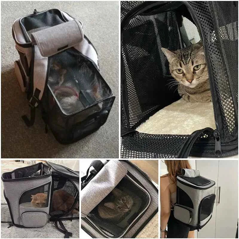 Expandable Pet Carrier Backpack – Travel Bag