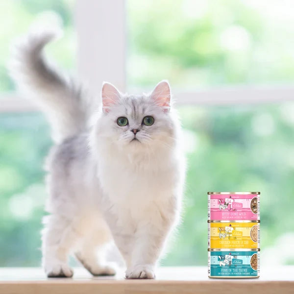 Cat Food