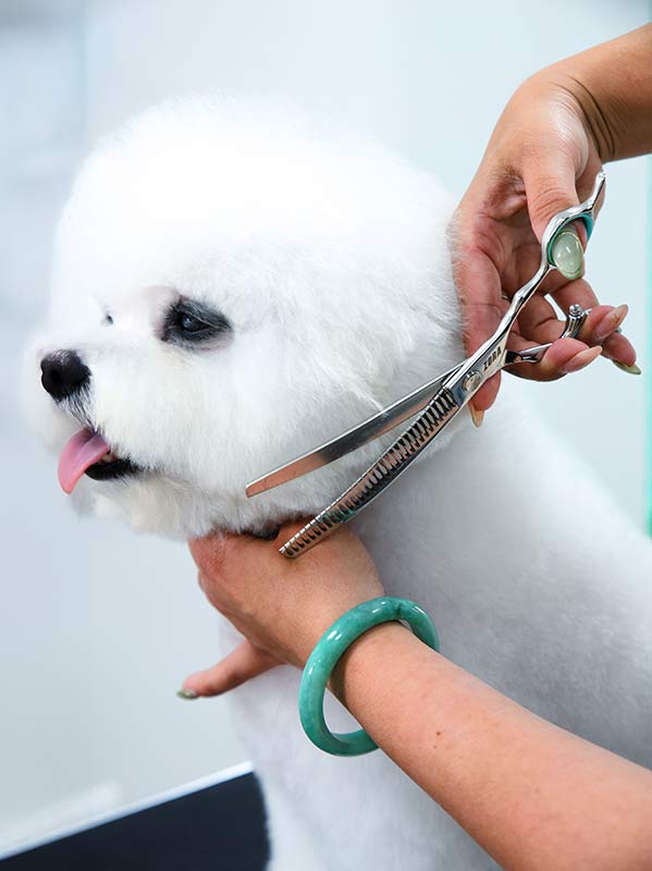 Grooming