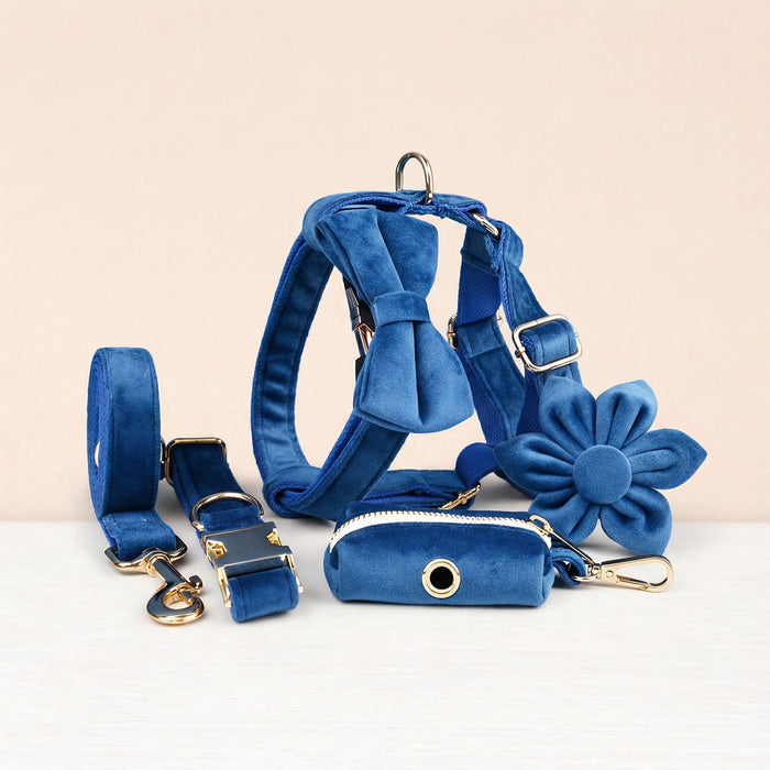 Collor & Harness