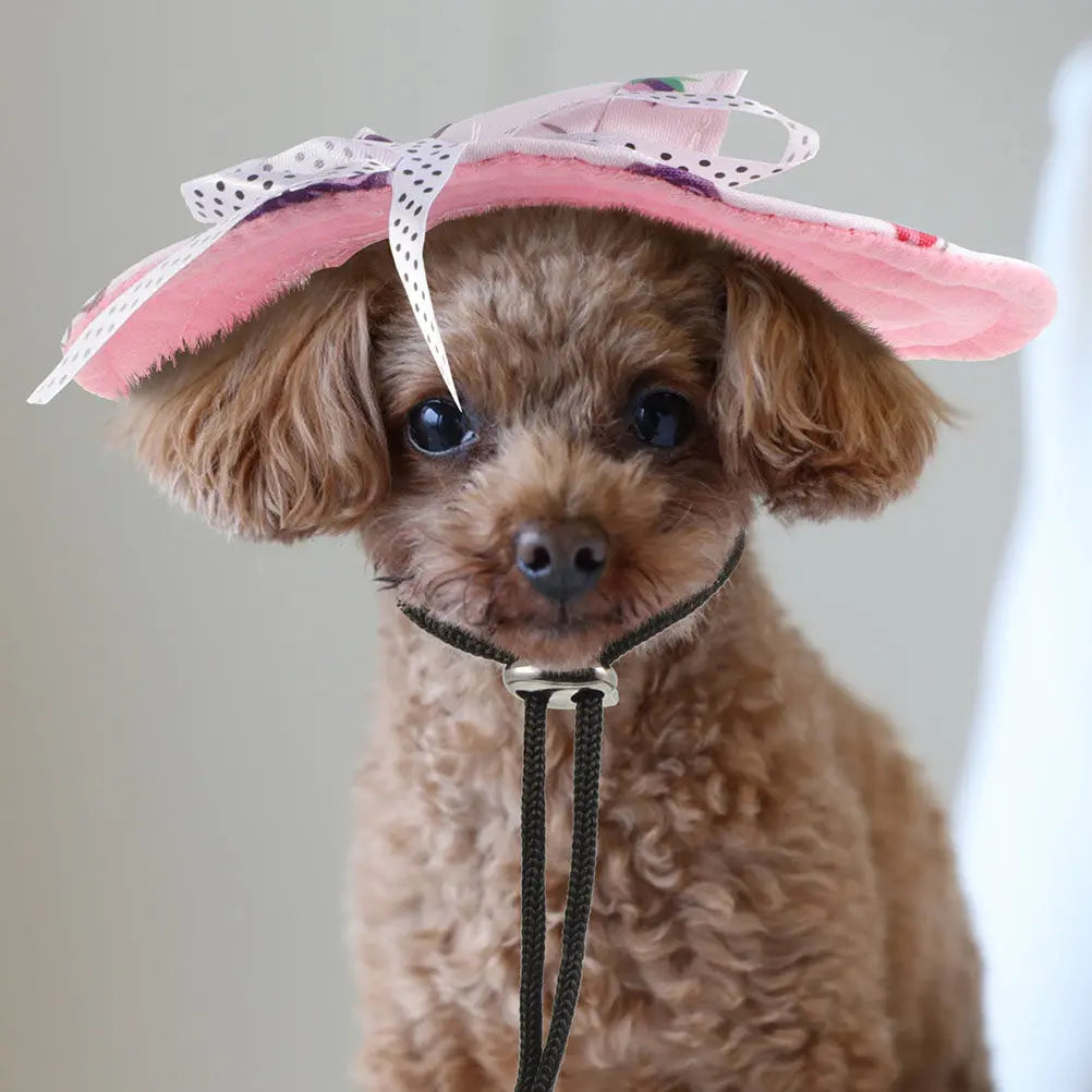 2pcs Pet Baseball Cap Breathable Net Hats for Cats Dog Sun Visor Small Hat Summer Bucket Dog Hat for Small Dogs