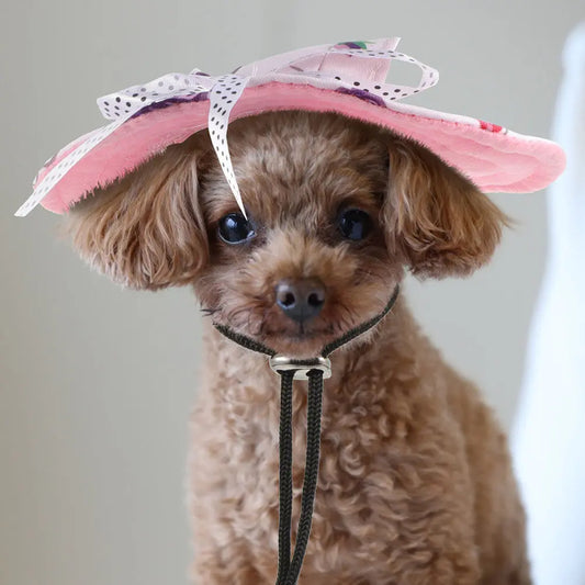 2pcs Pet Baseball Cap Breathable Net Hats for Cats Dog Sun Visor Small Hat Summer Bucket Dog Hat for Small Dogs