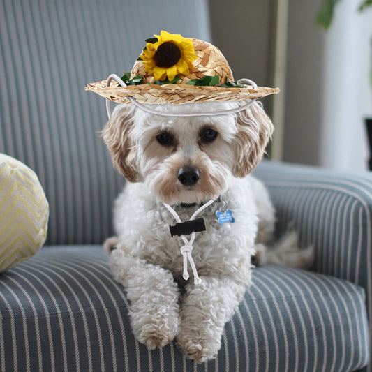 1Pcs Pet Straw Hat Sunflower Sunhat Adjustable Elastic Pet Photo Prop Perfect for Birthday Party Daily Life Dog Cat Rabbit