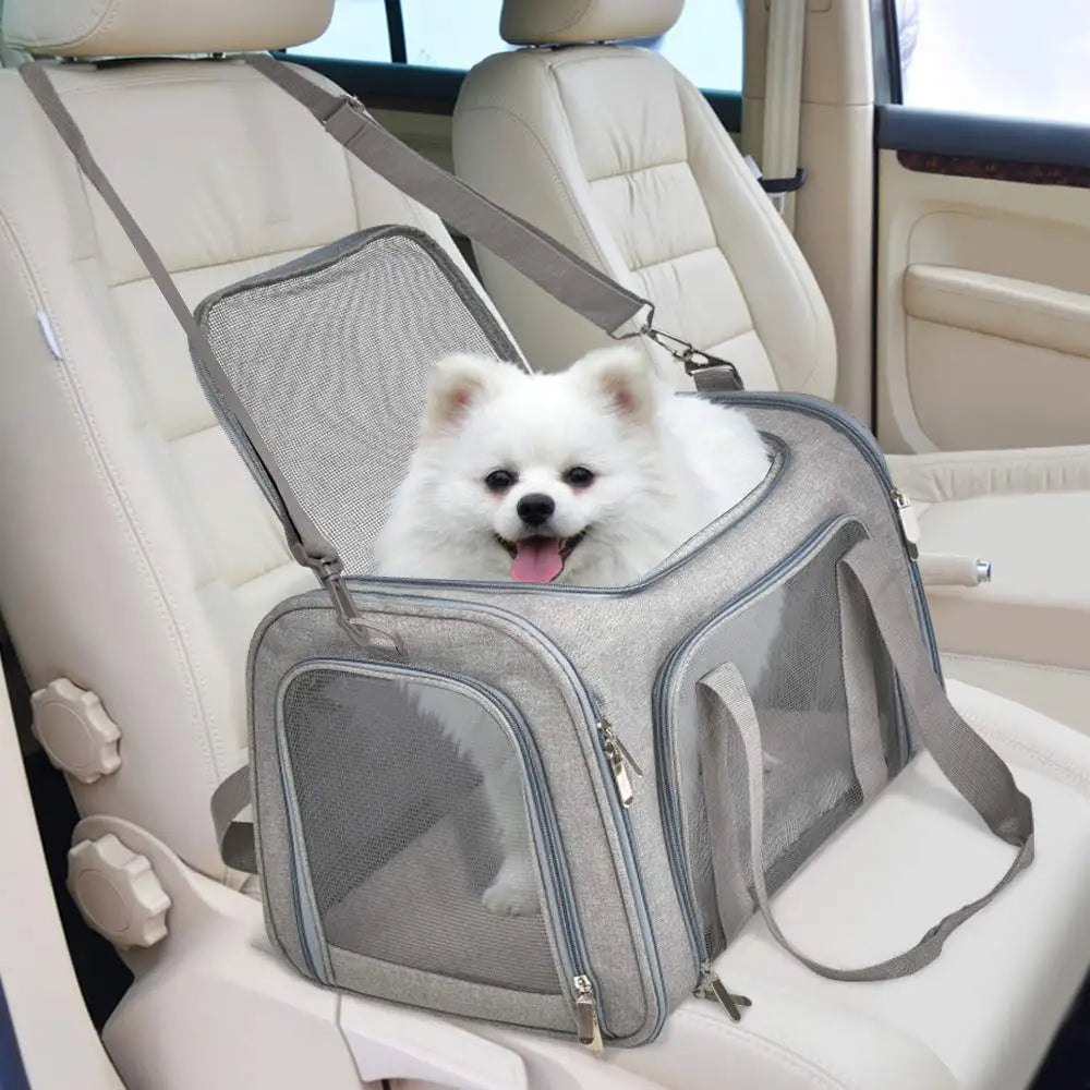 Soft Side Pet Carrier Backpack | Airline Approved Travel Bag for Small Dogs and Cats