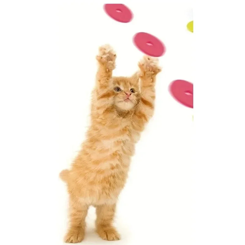 Funny Cat Toys Creative Turnip Gun with 15pcs Reusable Foam Disc Pet Hunting Interactive Toy Dog Cat Pet Supplies