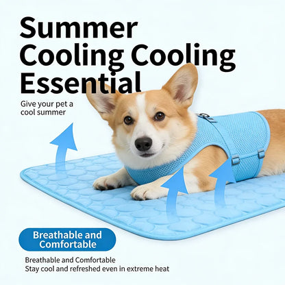 Ice Silk Pet Cooling Mat Cold Feeling Non Slip Washable Breathable Sleeping Pad Summer Nest For Small Medium Large Dog Cat Rest