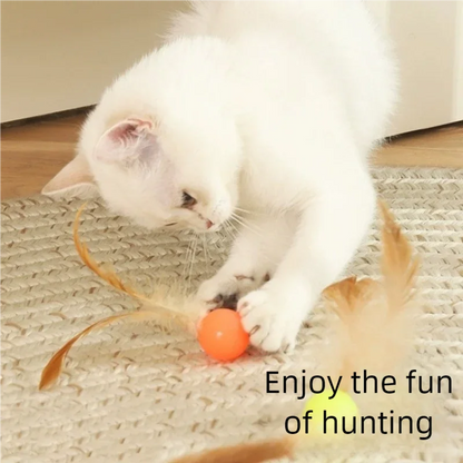Funny Cat Elastic Ball Toy Interactive Balls Pet Supplies Feather Football Toys Dog Playthings Kitten