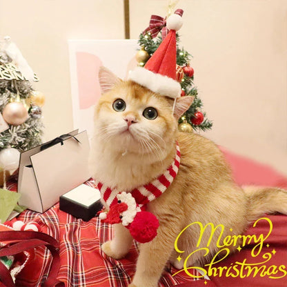 Pet Chinese New Year Christmas Decoration Clothes Bib Dog Scarf Cat New Year Hat Teddy Scarf Small Dog