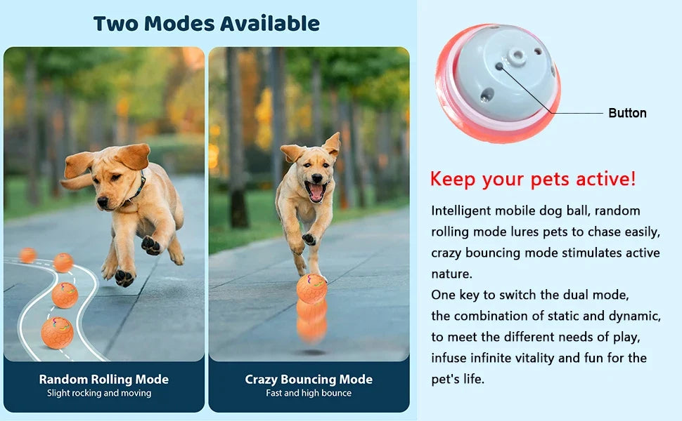 Smart Dog Toy Ball Electronic Interactive Pet Toy Ball USB Automatic Bouncing Rolling Toy Ball With RGB Lights Puppy Cat Product