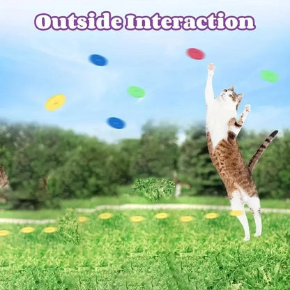 Funny Cat Toys Creative Turnip Gun with 15pcs Reusable Foam Disc Pet Hunting Interactive Toy Dog Cat Pet Supplies
