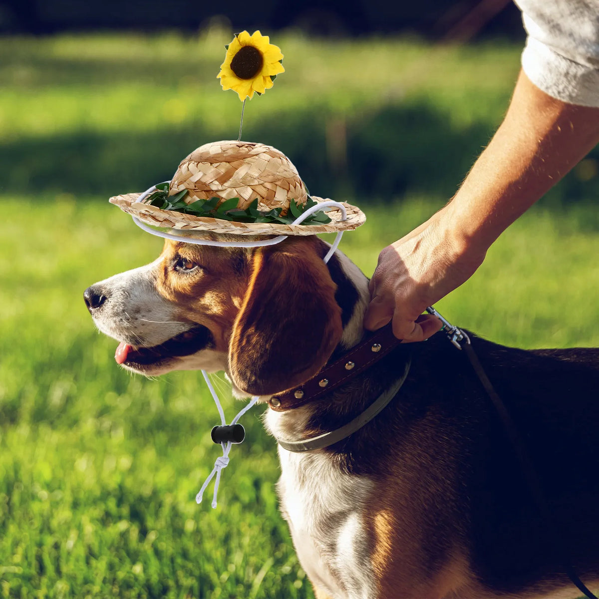 1Pcs Pet Straw Hat Sunflower Sunhat Adjustable Elastic Pet Photo Prop Perfect for Birthday Party Daily Life Dog Cat Rabbit