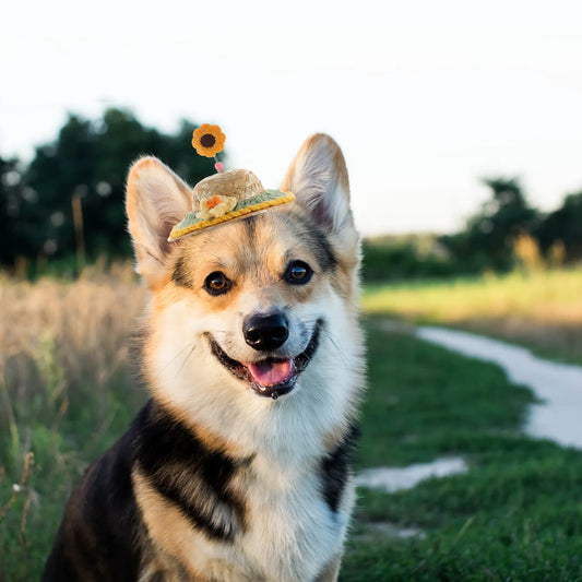 Creative Comfortable Pet Hat Made of High-Class Materials for Dogs Cats Puppy Party Birthday Cosplay Photo Session Outdoor