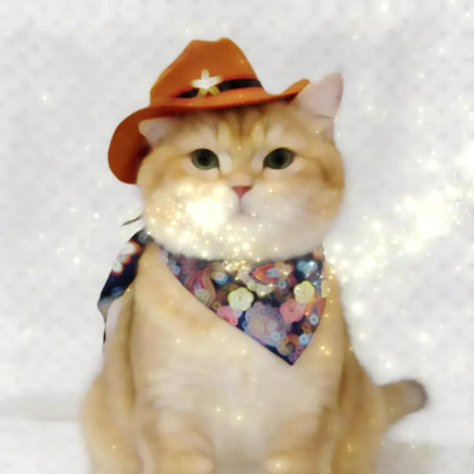 Pet Cowboy Hat with Bandana Western Style Star Decor for Cats Dogs Small Large Sizes Party Cosplay Costume