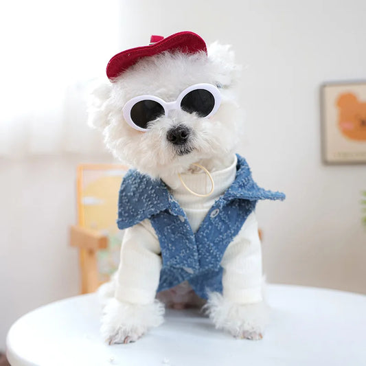 Denim Cap For Dogs With Sunglass Pet Grooming Accessories Hat For Small Medium Puppy Animal Cat Dachshund Yorkshire Things Goods