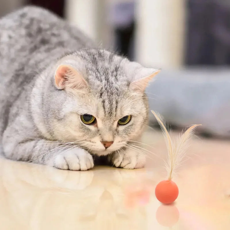 Funny Cat Elastic Ball Toy Interactive Balls Pet Supplies Feather Football Toys Dog Playthings Kitten
