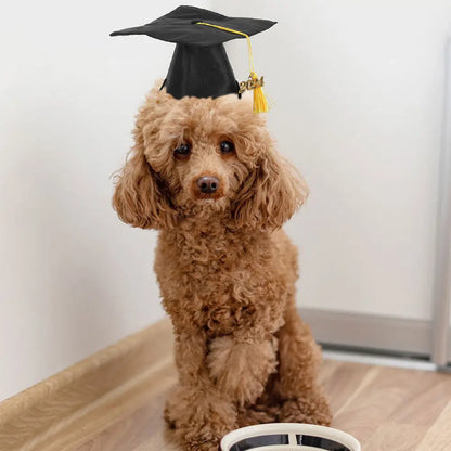 2Pcs Pet Graduation Caps Dog Cat Hats Adjustable Tassel Graduation Party Photo Props Costume Accessories Pet Hat
