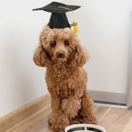 2Pcs Pet Graduation Caps Dog Cat Hats Adjustable Tassel Graduation Party Photo Props Costume Accessories Pet Hat
