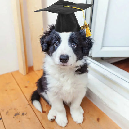 2Pcs Pet Graduation Caps Dog Cat Hats Adjustable Tassel Graduation Party Photo Props Costume Accessories Pet Hat