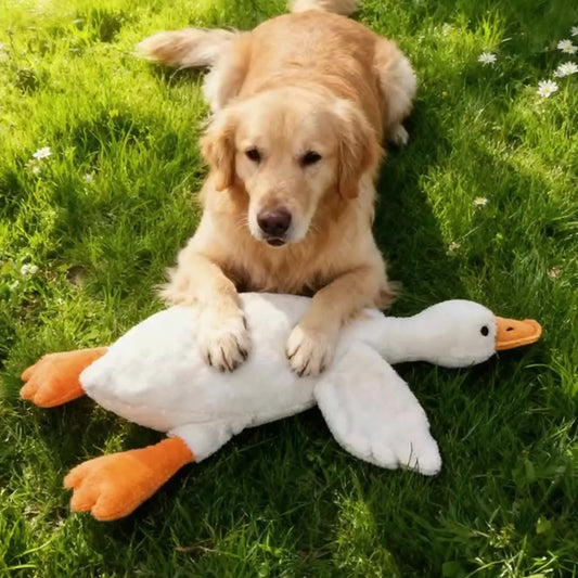 Plush, vocal, companion dog toys suitable for all breeds of cats and dogs, with double-layer fabric for tear resistance