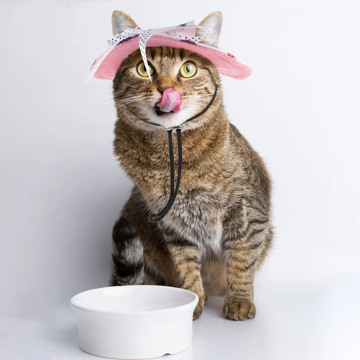 pet cap cat sun hat dog sun hat cat sun cap