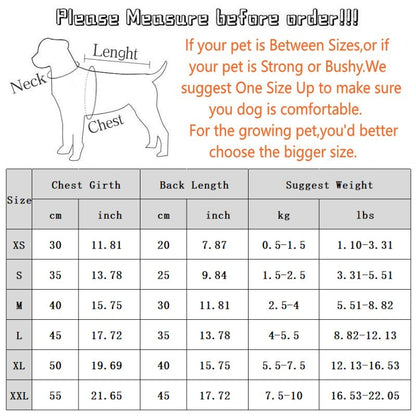 Autumn And Winter Dog Thin Fleece, Cool Style, Drawstring, Hooded, Cute Cartoon Hoodie, Small And Medium-sized Dog And Cat Pet Clothing