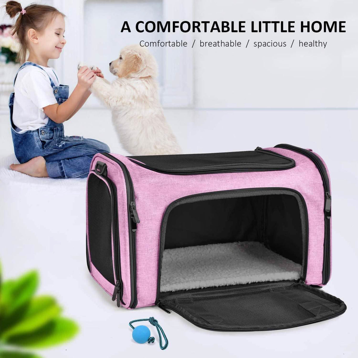 Collapsible Cat Dog Carrier