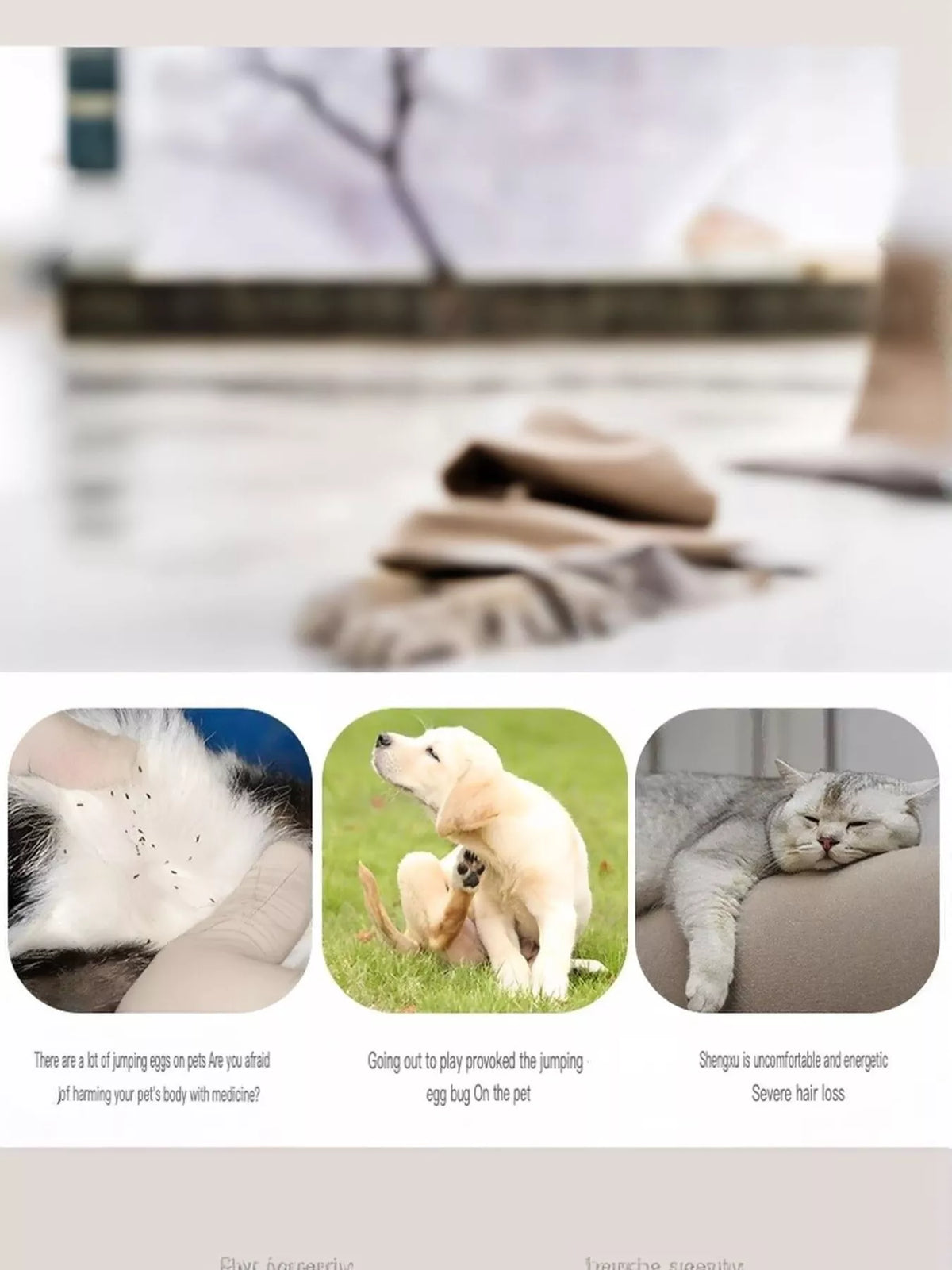 Pet Facial Detail Comb