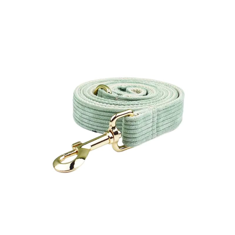 Light Green Corduroy Set