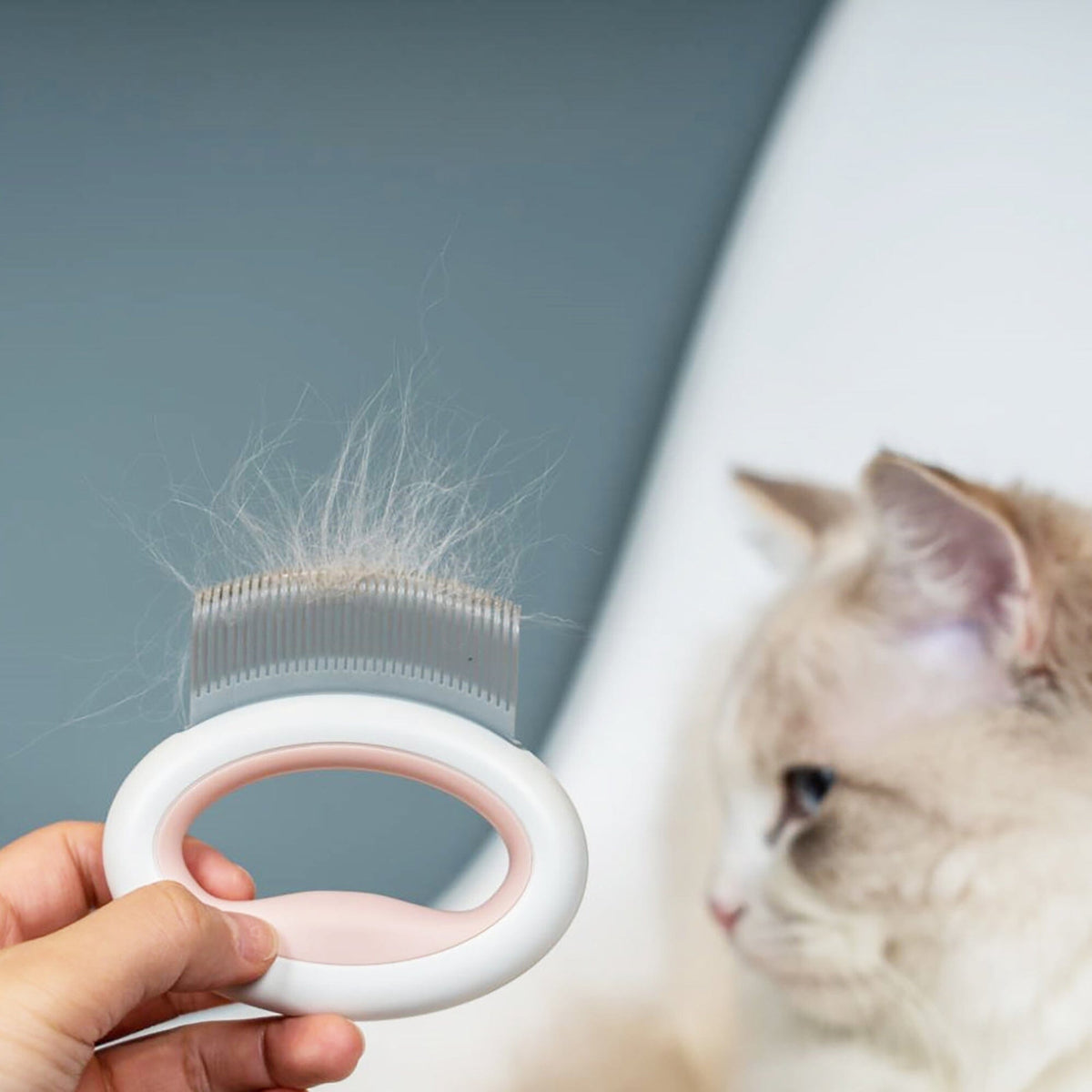 Pet Life ® 'Knuckler' Handheld Travel Flexible Grooming Pet Rake Comb